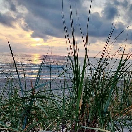 Gerves Apartamentai Palanga Exteriér fotografie