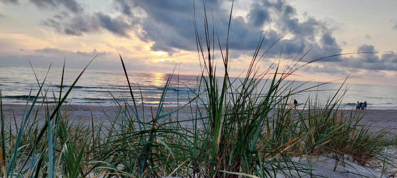 Gerves Apartamentai Palanga Exteriér fotografie